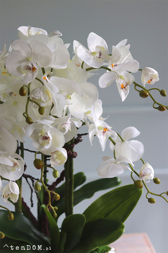 Białe Manfredo, sztuczny storczyk w białej donicy, wys.60cm