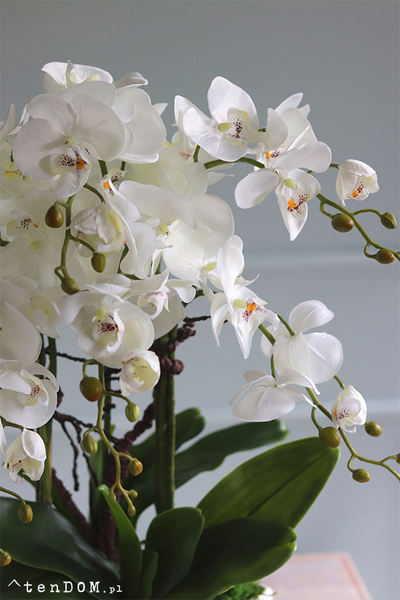 Białe Manfredo, sztuczny storczyk w białej donicy, wys.60cm