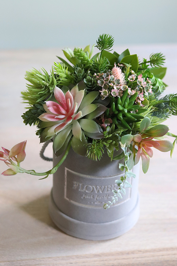 Albertina Mini, welurowy flowerbox z sukulentami, wys.24cm