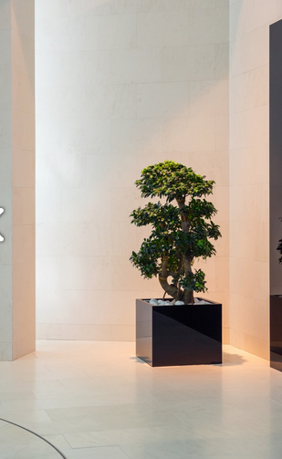 Fiberglass Fiber donica Square Black 60x60cm 