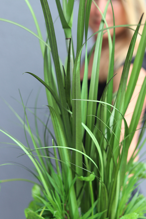 Jasson, sztuczna trawa z sukulentami w biało-srebrnej donicy, wys.85cm