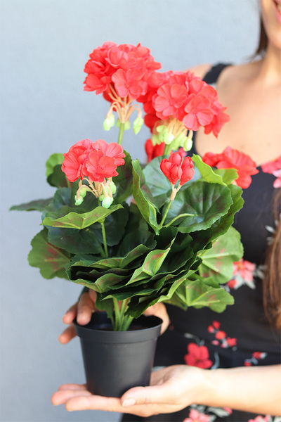 doniczkowa pelargonia Czerwona, wysokiej jakości sztuczne kwiaty, wys.36cm