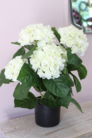 doniczkowa hortensja Biała, wysokiej jakości sztuczne kwiaty, wys.40cm