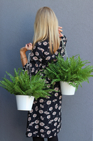 kompozycja w wiszącej donicy, Paproć Naturales, wys.38cm 