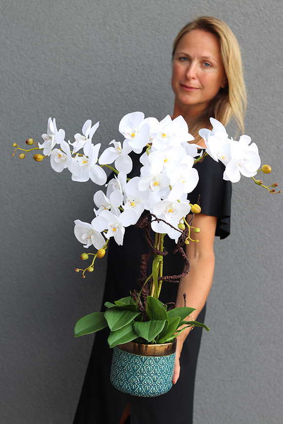 Beduaro, biały storczyk w niebieskiej donicy, wys.65cm 