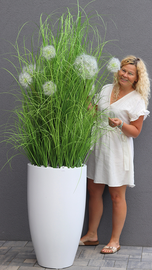 Grande Dandelion Fiberglass White, trawa w białej donicy z dmuchawcami, wys.185cm