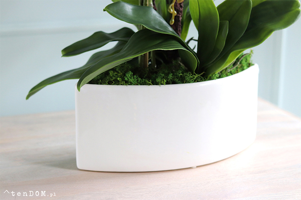 Białe Manfredo, sztuczny storczyk w białej donicy, wys.60cm