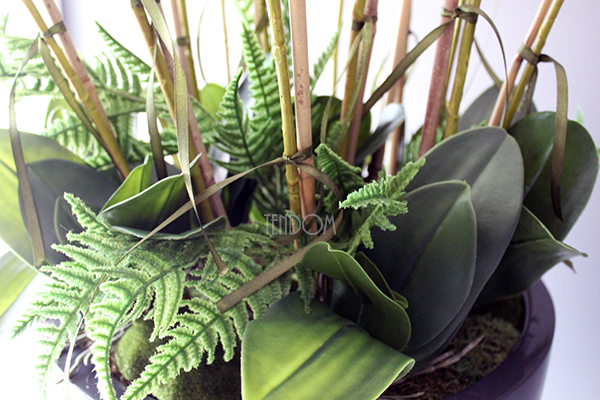 efektowny storczyk Grande Grey z paprocią w szarej donicy z fiberglass, wys.92cm