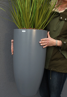 Bellano 2, wieczne trawy w donicy fiberglass, wym.155cm