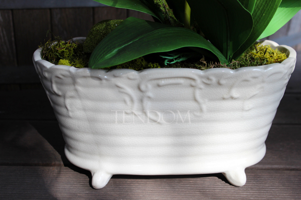 storczyk Fuksja Ozdobna w ceramicznej donicy wys.65cm