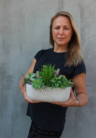 Monett, kompozycja sukulenty w ceramicznym naczyniu, wym.20x25x14cm