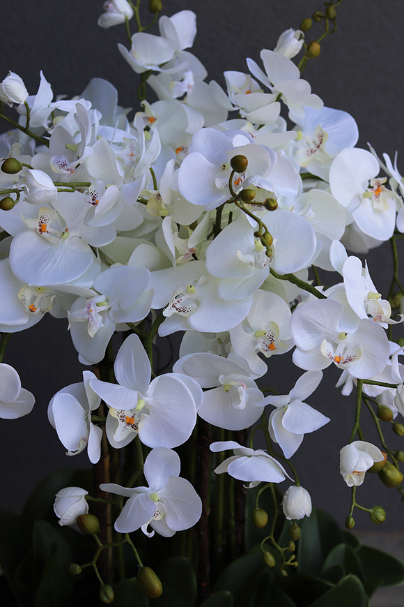 sztuczny storczyk we wkładzie Sylvinia Mediolan od tenDOM, wys.100cm