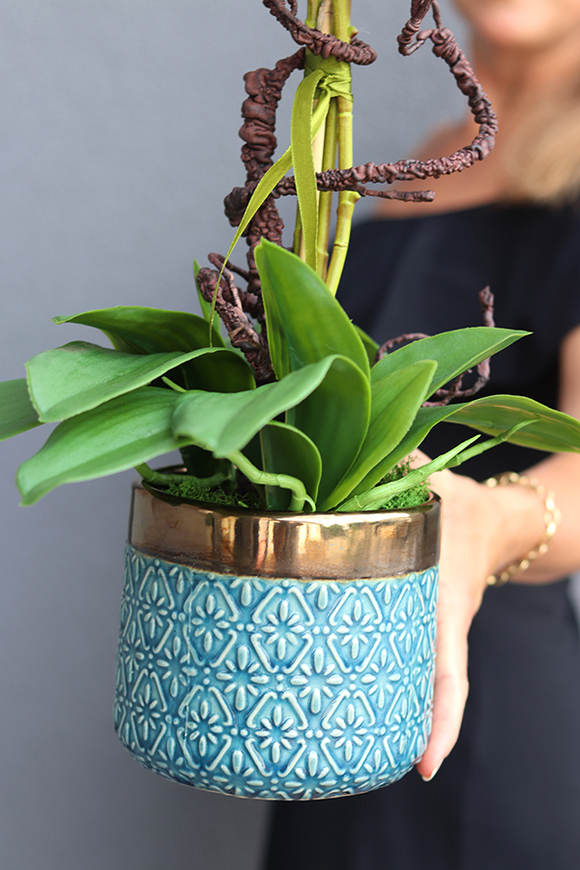 Beduaro, biały storczyk w niebieskiej donicy, wys.65cm 