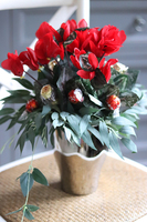 Dzień Babci, fiołek alpejski z czekoladkami, wys.35cm 