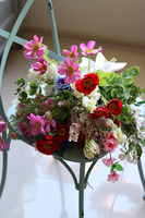 bukiet z polnych kwiatów, Regulia, dł.66cm