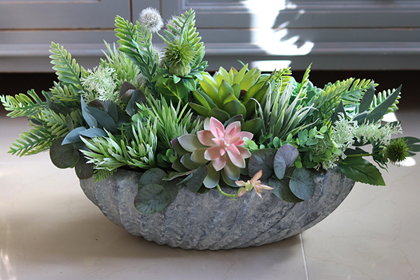 kompozycja sukulenty w muszli, Neroso Ocean, wym.30x57cm 