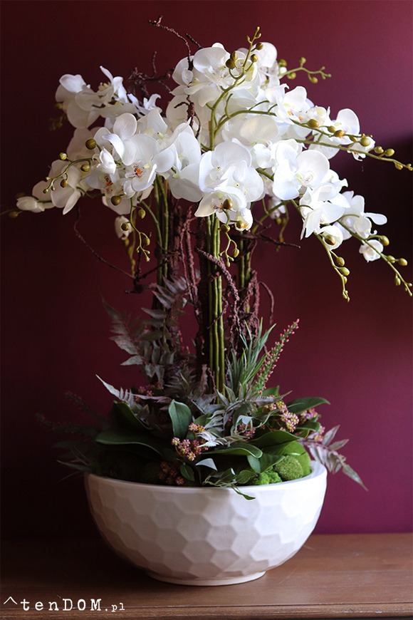 Georgette, efektowny storczyk w samej gąbce florystycznej (na zdj. misa Klienta), wys.80cm