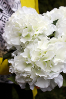 bukiet białych hortensji wys.43cm