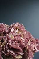 bardzo bogaty kosz z peoniami Serena, brudny róż, wys.50cm