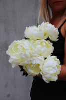 bukiet śmietankowych peonii Aurora wys.48cm