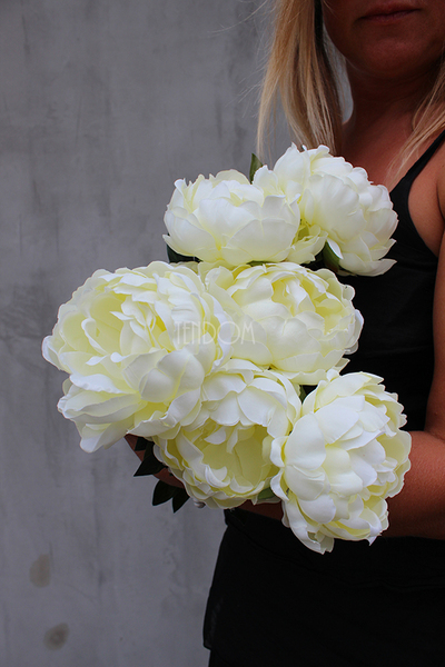bukiet śmietankowych peonii Aurora wys.48cm