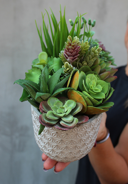 Monett, kompozycja sukulenty w ceramicznym naczyniu, wym.20x25x14cm