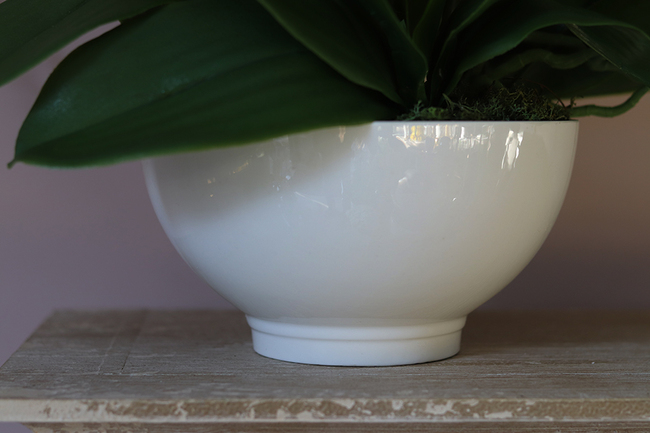 Lucerra Small, elegancki storczyk w minimalistycznej donicy, wys.43cm