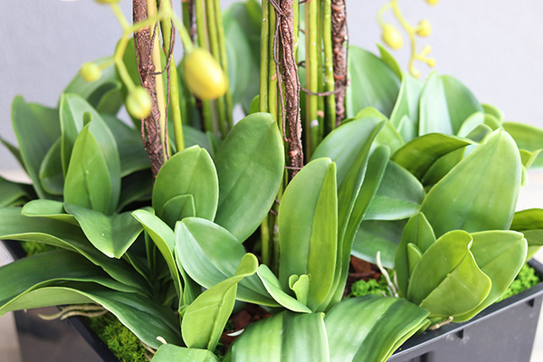 sztuczny storczyk we wkładzie Sylvinia Mediolan od tenDOM, wys.100cm 