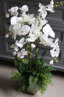 efektowny sztuczny storczyk w ceramicznej donicy, Paragwaj, wys.87cm