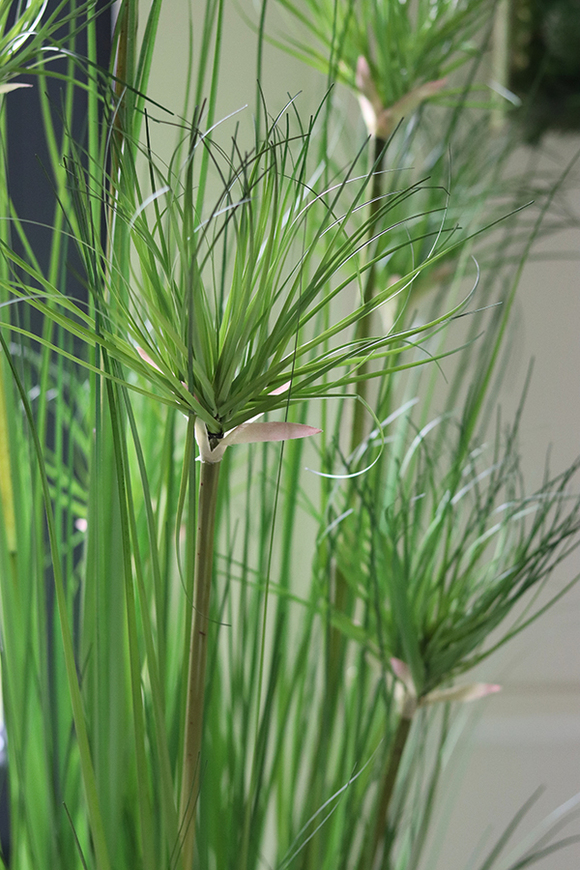 efektowna kompozycja ze sztucznych traw, Papirus Ordonia White, wys.164cm