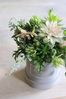 Albertina Mini 2, welurowy flowerbox z sukulentami, wys.24cm