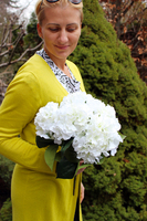 bukiet białych hortensji wys.43cm