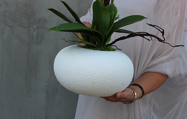 mniejszy storczyk White Japan w białej donicy (mat), wys.65cm