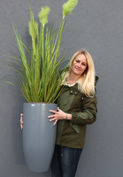 Bellano 2, wieczne trawy w donicy fiberglass, wym.155cm