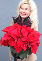 Gwiazda Betlejemska III, wysokiej jakości sztuczna roślina, wym.42cm