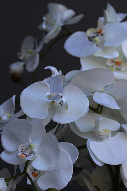 Tolena, ekskluzywny storczyk sztuczny w naczyniu z herbem, wys.80cm