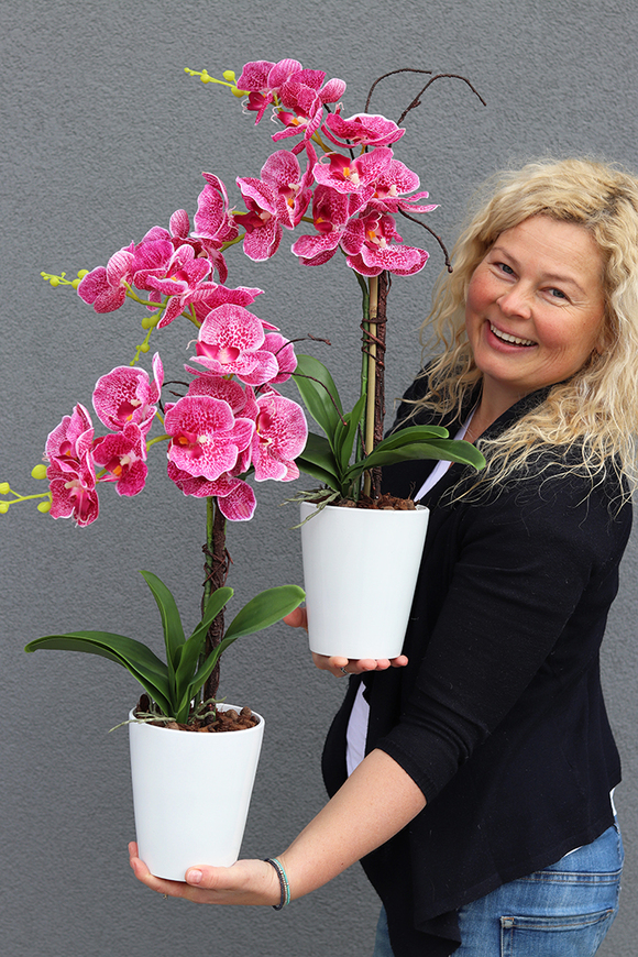 storczyk Mini Granada Pink w białej donicy, wys.63cm