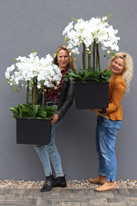 sztuczny storczyk we wkładzie Sylvinia Mediolan od tenDOM, wys.100cm 