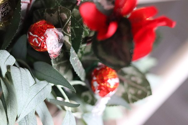 Dzień Babci, fiołek alpejski z czekoladkami, wys.35cm 