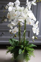 efektowny sztuczny storczyk w ceramicznej donicy, Paragwaj, wys.87cm