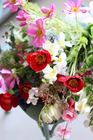 bukiet z polnych kwiatów, Regulia, dł.66cm