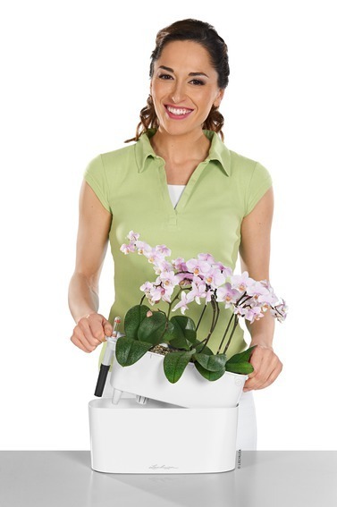 Delta 20, podłużna donica z nawadnianiem, taupe, wym.18x40x15cm