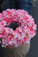 bogaty różowy wianek z kwiatów jabłoni, Jabłonka Pinkletta, śr.28cm  