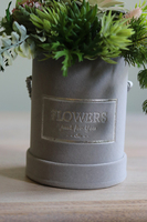 Albertina Mini 2, welurowy flowerbox z sukulentami, wys.24cm