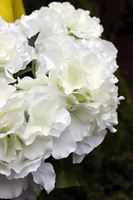 bukiet białych hortensji wys.43cm