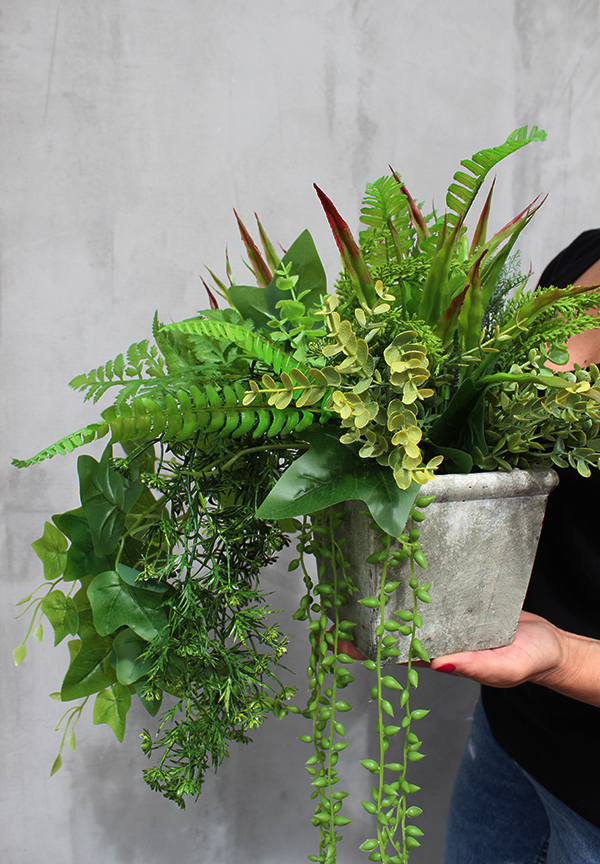 komplet 2 kompozycji w betonowych donicach z sukulentami Baleo, wys.34cm