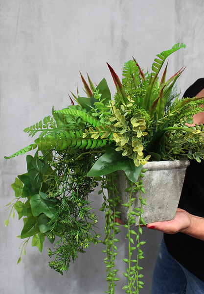 komplet 2 kompozycji w betonowych donicach z sukulentami Baleo, wys.34cm