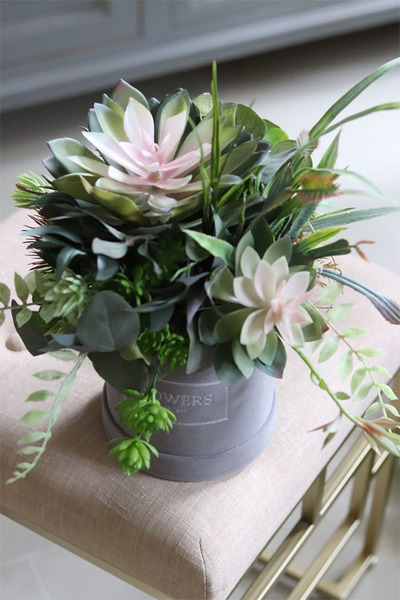 Albertina, welurowy flowerbox z sukulentami, wys.41cm