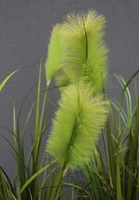 Samba, sztuczna trawa w czarnej donicy fiberglass, wys.160cm