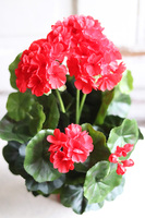 doniczkowa pelargonia Czerwona, wysokiej jakości sztuczne kwiaty, wys.36cm